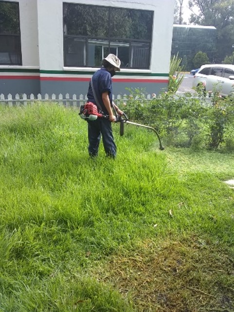 SERVICIO JARDINERIA'